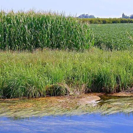 Eldorado, Depandance & Ξενοδοχείο Γκράντο