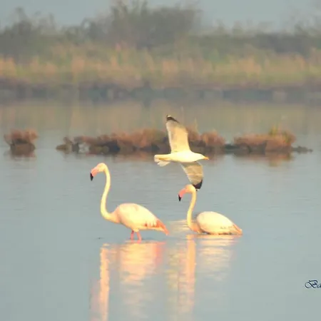 Hotel Eldorado, Depandance&apartments 3*