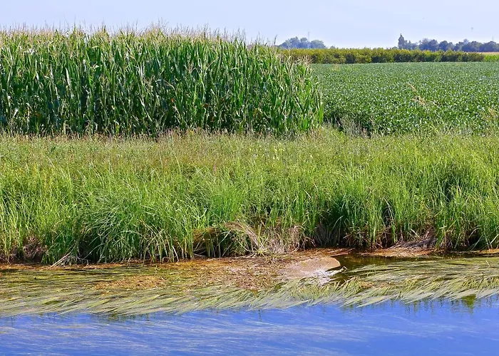 Eldorado, Depandance & Hotel Grado